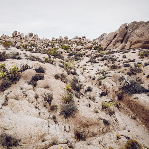 Robert Pehlke - Joshua Tree National Park