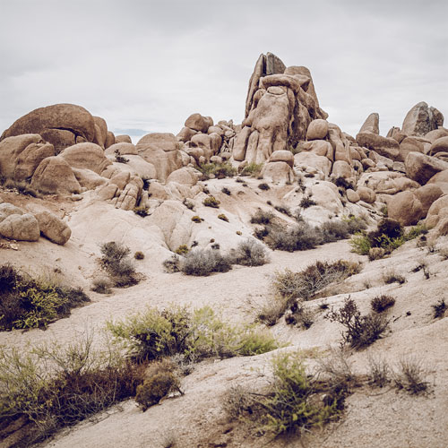Robert Pehlke - Joshua Tree National Park
