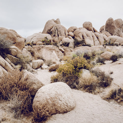 Robert Pehlke - Joshua Tree National Park