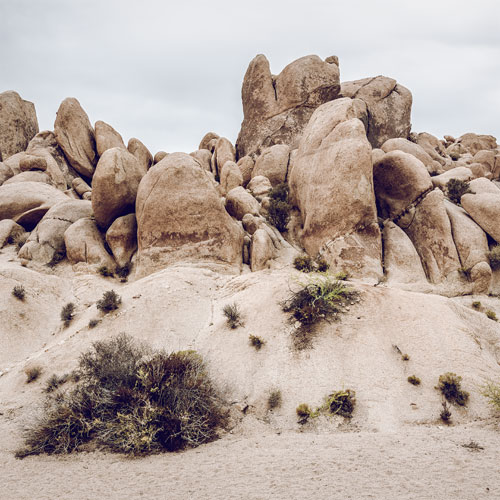 Robert Pehlke - Joshua Tree National Park