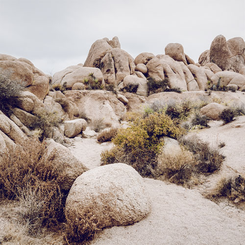 Robert Pehlke - Yoshua Tree National Park